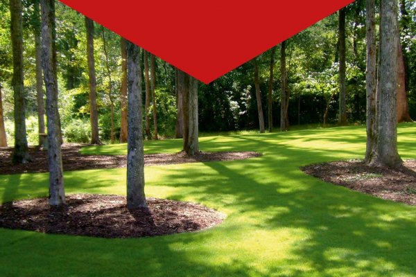 Кракен аватарка маркетплейс