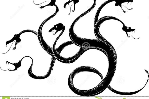 Kraken kraken link24 info